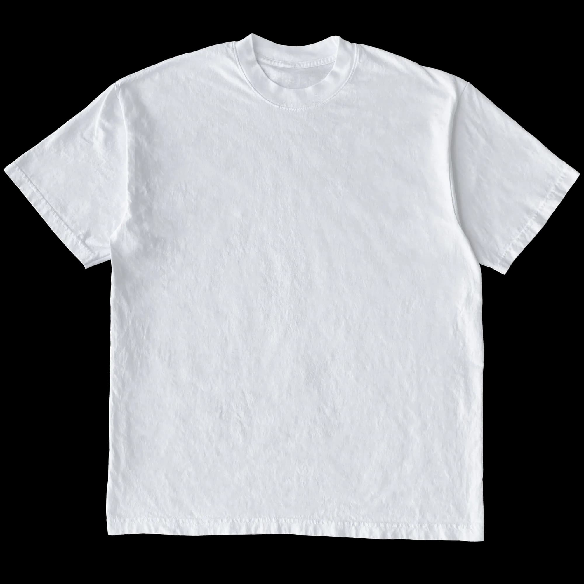 Remera Regular
